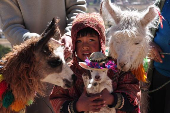Garoto e lhamas posam para fotos em mirante do Valle Sagrado, nas proximidades de Cusco, no Peru